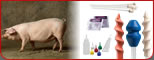 inseminacion artificial porcinos